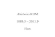 Akebono RDM 1889.3 – 2011.9 Flux