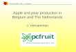 Apple and pear production in Belgium and The Netherlands