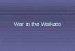 War in the Waikato