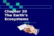 Chapter 20  The Earth’s Ecosystems