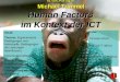 Ao. Univ.-Prof. Ing. Dr. Michael Trimmel  Human Factors  im Kontext der ICT