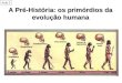 A Pré-História: os primórdios da evolução humana