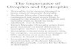The Importance of Utrophin and Dystrophin
