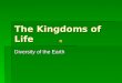 The Kingdoms of Life