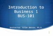 Introduction to Business 1 BUS-101 Instructor: Erlan Bakiev, Ph.D