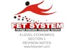 A LEVEL ECONOMICS SECTION 1 REVISION NOTES fetsystem