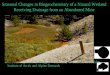 Seasonal Changes in Biogeochemistry of a Natural Wetland Receiving Drainage from an Abandoned Mine