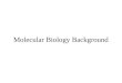 Molecular Biology Background