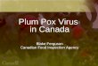 Plum Pox Virus  in Canada Blake Ferguson Canadian Food Inspection Agency