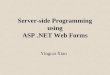 Server-side Programming using ASP  .NET Web  Forms