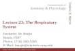 Lecture 23: The Respiratory System