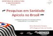 Pesquisas em Sanidade Apícola no Brasil