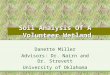 Soil Analysis Of A  Volunteer Wetland