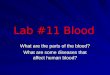 Lab #15 Blood