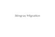 Stingray Migration