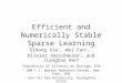 Efficient and Numerically Stable Sparse Learning