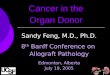 Cancer in the  Organ Donor
