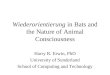 Wiederorientierung  in Bats and the Nature of Animal Consciousness