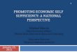 PROMOTING ECONOMIC SELF SUFFICIENCY: A NATIONAL PERSPECTIVE