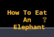 How To Eat An  Elephant