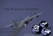 The Blueberry Bombers