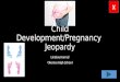Child Development/Pregnancy  Jeopardy
