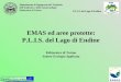 EMAS  ed aree protette: P.L.I.S. del Lago di Endine  Politecnico di Torino