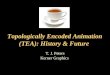 Topologically Encoded Animation (TEA): History & Future
