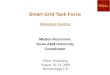 Smart Grid Task Force Workshop meeting