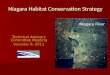 Niagara Habitat Conservation Strategy