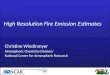 High Resolution Fire Emission Estimates