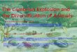 Section  8      The  Cambrian Explosion and the Diversification of Animals