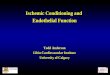 Ischemic Conditioning and  Endothelial Function Todd Anderson Libin Cardiovascular Institute