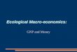 Ecological Macro-economics: