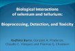 Biological  Interactions  of selenium and tellurium: Bioprocessing , Detection, and Toxicity