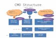 CMO Structure