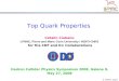 Top Quark Properties
