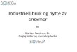 Industriell bruk og nytte av enzymer by Kjartan Sandnes , Dr. Daglig leder og forskningsleder