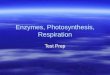 Enzymes, Photosynthesis, Respiration