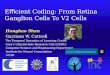 E ﬃ cient Coding: From Retina Ganglion Cells To V2 Cells 