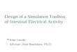 Design of a Simulation Toolbox of Intestinal Electrical Activity