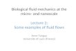 Biological fluid mechanics at the micro‐ and  nanoscale Lecture 2: Some examples  of  fluid flows