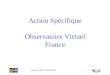 Action Spécifique Observatoire Virtuel France