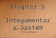 Chapter 5 Integumentary  System
