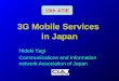 3G Mobile Services  in Japan