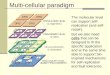 Multi-cellular paradigm