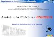 Audiência Pública -  ENERSUL Patrícia Galdino de Faria Barros
