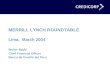 MERRILL LYNCH ROUNDTABLE Lima,  March 2004 Walter Bayly   Chief Financial Officer