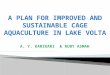 A PLAN FOR IMPROVED AND SUSTAINABLE CAGE AQUACULTURE IN LAKE VOLTA