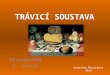 TRVIC SOUSTAVA